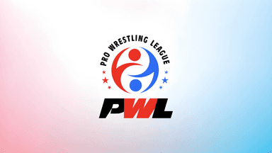 Organisers to launch Pro Wrestling League-based gaming app to keep fans engaged: PWL Chairman Dayaan Farooqui